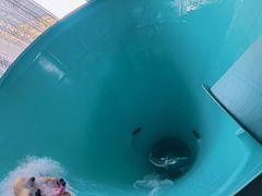 -温都水城·水梦奇缘