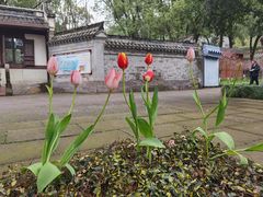 -宁波市保国寺古建筑博物馆