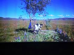 -太平老街-前行美术馆