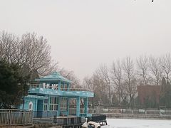 -黄村公园