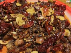 -柴窝堡22号辣子鸡·传承新疆菜