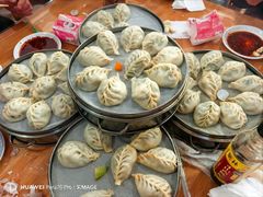 -小叶大馅饺子城