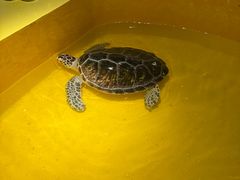 -秦皇岛新澳海底世界