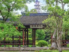 -江心屿景区