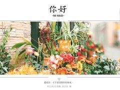 -四川省成都市彭州市白鹿镇