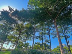 -海心沙亚运公园