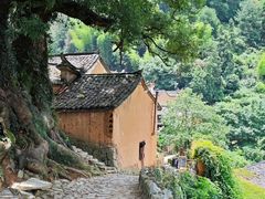 -杨家堂村