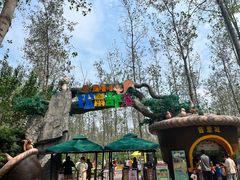 -合肥滨湖国家森林公园