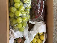 -马陆小张葡萄园农家乐