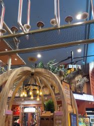 -卡通尼·Safari非洲探索乐园·生日会(金桥国际商业广场店)