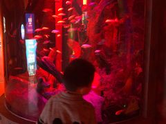 -沈阳海洋探索中心