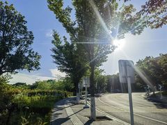 -南京老山国家森林公园