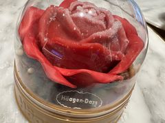 -哈根达斯(济南万象城店)