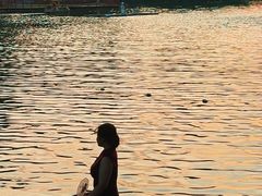 -荔湾湖公园