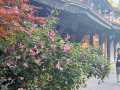 -铁像寺水街