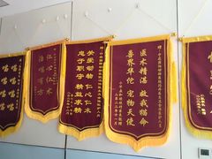 -中农国际动物医院24小时·猫科·骨科·急重症中心
