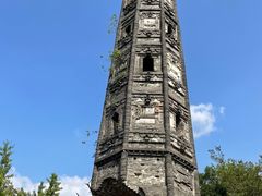 -上海佘山国家森林公园天马山园