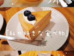 -猫里有甜