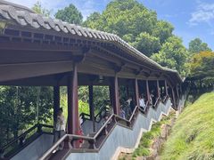 -庐山风景名胜区-东林大佛