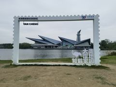-盐城丹顶鹤湿地生态旅游区
