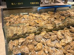 -梨花自助烤肉(西三旗万象汇黑金店)