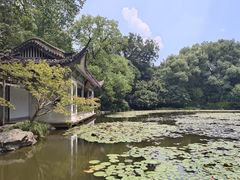 -杭州植物园