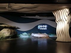 -九江市博物馆