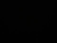 -毒蛇面馆(虹口店)