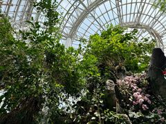 -郑州植物园