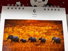 -好利来(朝外店)