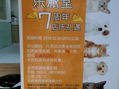 -乐派堂宠物医院·猫友好· 心脏科(东街店)