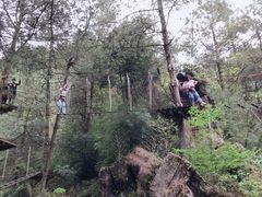 -梦幻奥陶纪景区