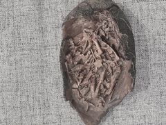 -西峡恐龙遗迹园