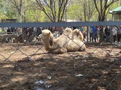 -长白岛森林公园