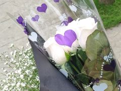 -成都许燎源现代设计艺术博物馆