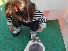 -季高兔窝窝亲子园(上海薰衣草公园店)