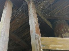 -武清南湖绿博园