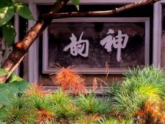 -秋霞圃
