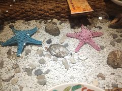 -毓聪妈妈菜(合肥路店)