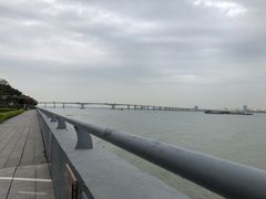 -大湾区中央湿地公园