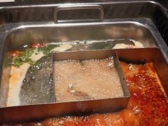 -鼎膳常火锅(华阳店)