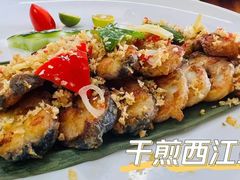 -八仔大富楼·河鲜(西江店)
