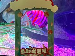 -沈阳海洋探索中心