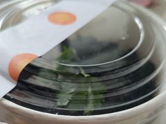 -Wagas沃歌斯(枫蓝国际店)
