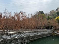-福道