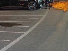 -一代菌王·竹荪鹅(江苏旗舰店)