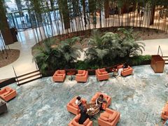 -北京望京凯悦酒店The Lounge大堂酒廊