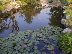 -珠海圆明新园