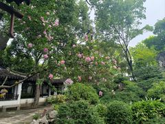 -万佛湖风景区