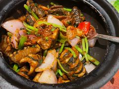 鳝鱼-十六台·经典广东菜(德外大街店)